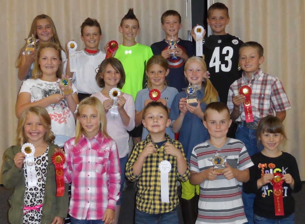 Fountain Green Elementary names science fair winners News, Sports, Jobs Daily Herald